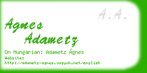 agnes adametz business card